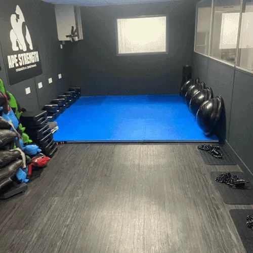 View of training mats and specialized exercise equipment at the ApeStrength facility.